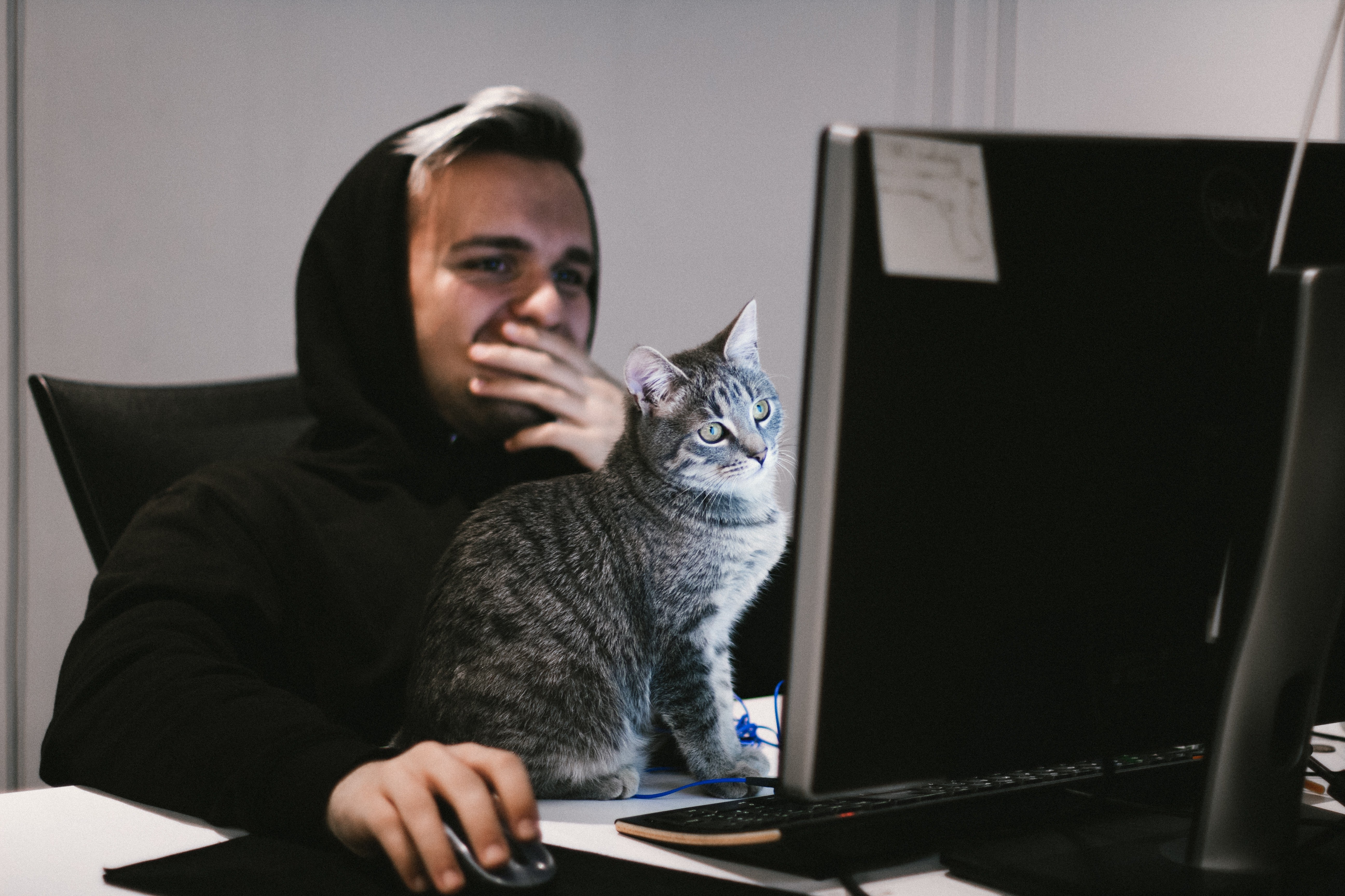 Surprise-reaction-at-computer-with-cat.jpg#asset:1702